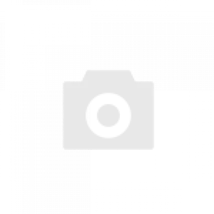 Bruno Fernandes Reveals Intense Training Clashes with Ex-Assistant Mitchell van der Gaag